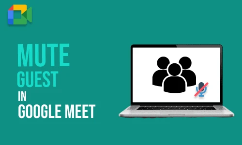 How to Mute Guest in Google Meet